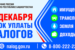 1 декабря - срок уплаты налогов